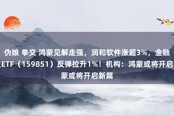伪娘 拳交 鸿蒙见解走强，润和软件涨超3%，金融科技ETF（159851）反弹拉升1%！机构：鸿蒙或将开启新篇
