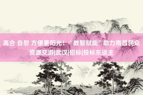高合 自慰 方便更阳光！“数智赋能”助力南昌民众资源交游|武汉|招标|投标东谈主