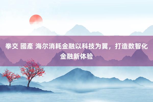 拳交 國產 海尔消耗金融以科技为翼，打造数智化金融新体验