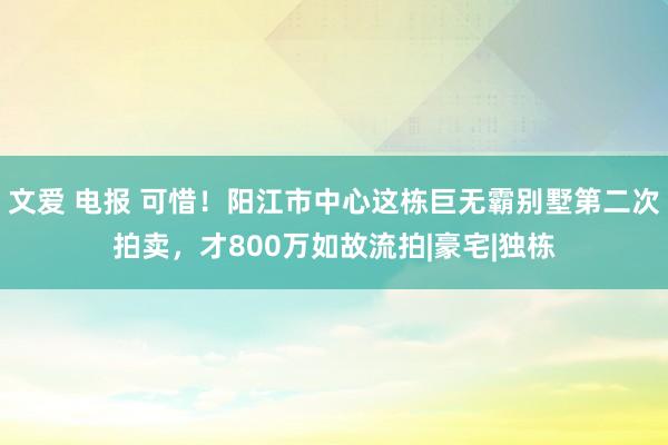 文爱 电报 可惜！阳江市中心这栋巨无霸别墅第二次拍卖，才800万如故流拍|豪宅|独栋