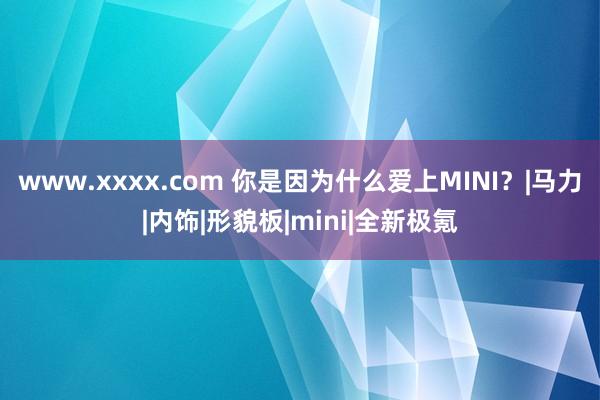 www.xxxx.com 你是因为什么爱上MINI？|马力|内饰|形貌板|mini|全新极氪