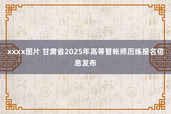 xxxx图片 甘肃省2025年高等管帐师历练报名信息发布