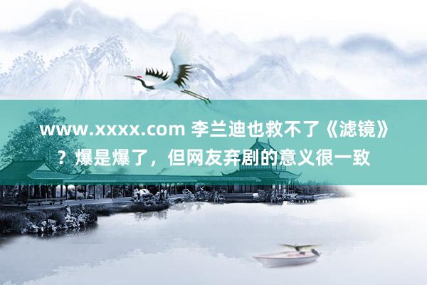 www.xxxx.com 李兰迪也救不了《滤镜》？爆是爆了，但网友弃剧的意义很一致