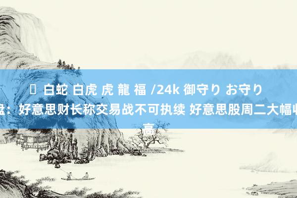 ✨白蛇 白虎 虎 龍 福 /24k 御守り お守り 收盘：好意思财长称交易战不可执续 好意思股周二大幅收高