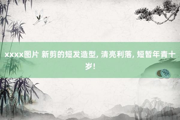 xxxx图片 新剪的短发造型， 清亮利落， 短暂年青十岁!