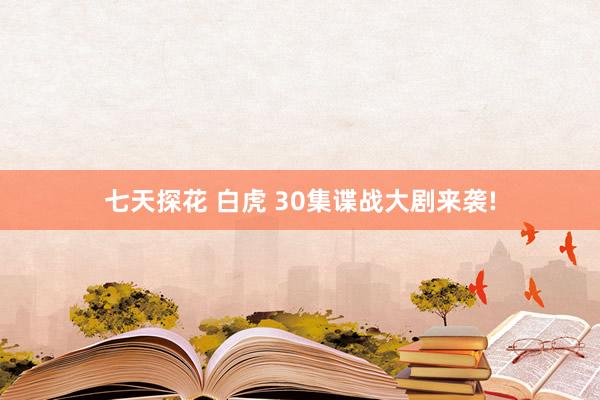 七天探花 白虎 30集谍战大剧来袭!